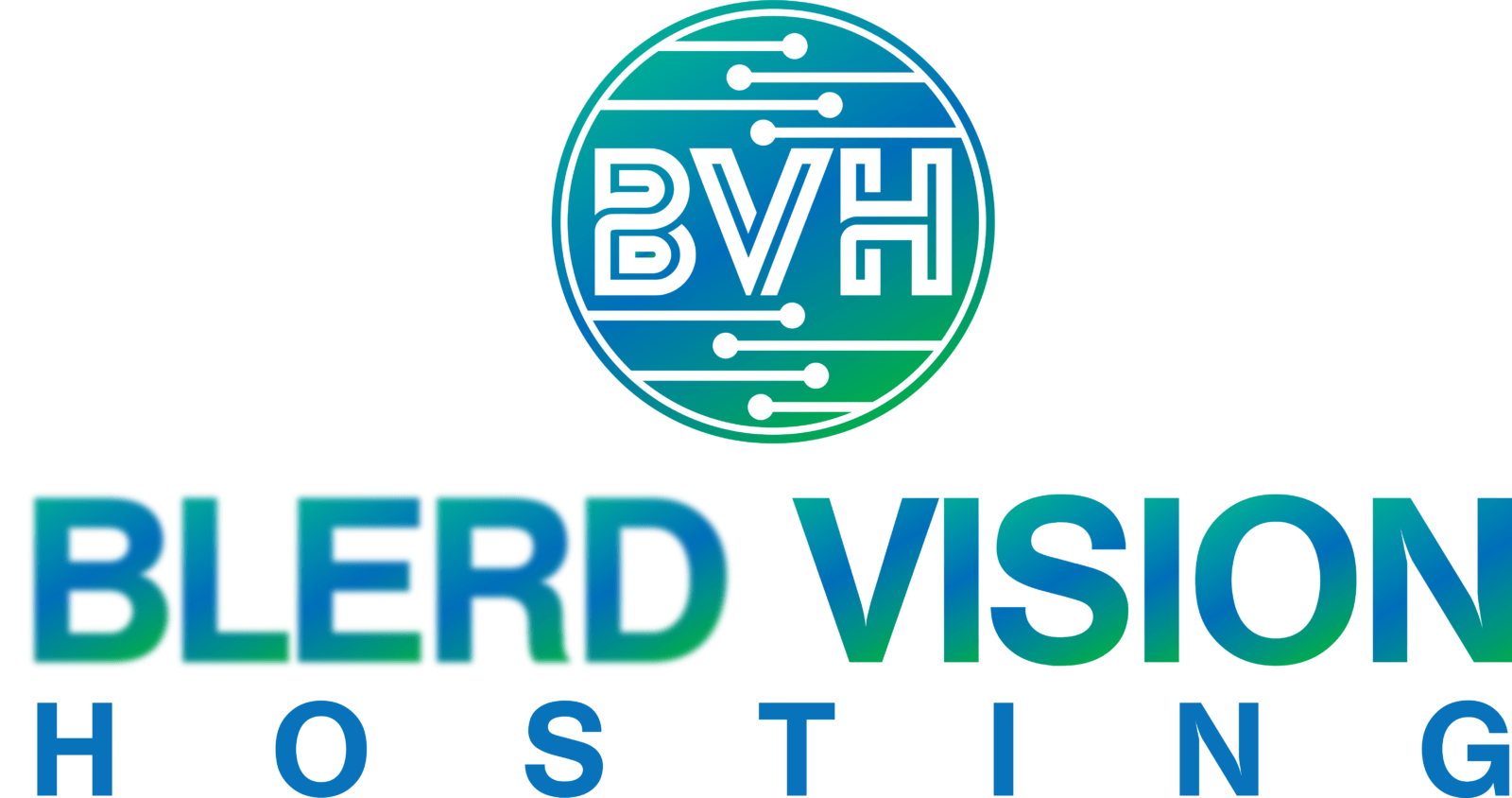 Blerd Vision Hosting IPTV Over 2 000 Live Channels For 6 Month 