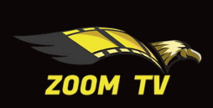zoom iptv service