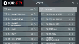 your iptv channels